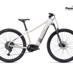 RUBY GX PRO 29 - matná zlatosivá / šedá L (18) 2025