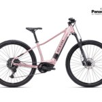 RUBY GX PRO 29 - staroružová perleť L (18) 2025 TESTBIKE