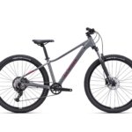 CHARISMA 2.0 27,5 - matná tmavosivá / bordová S 2025