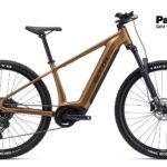 WIRE GX - matná zlatá L (18,5) 2026