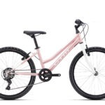 MONY - matná svetloružová 13" 2026